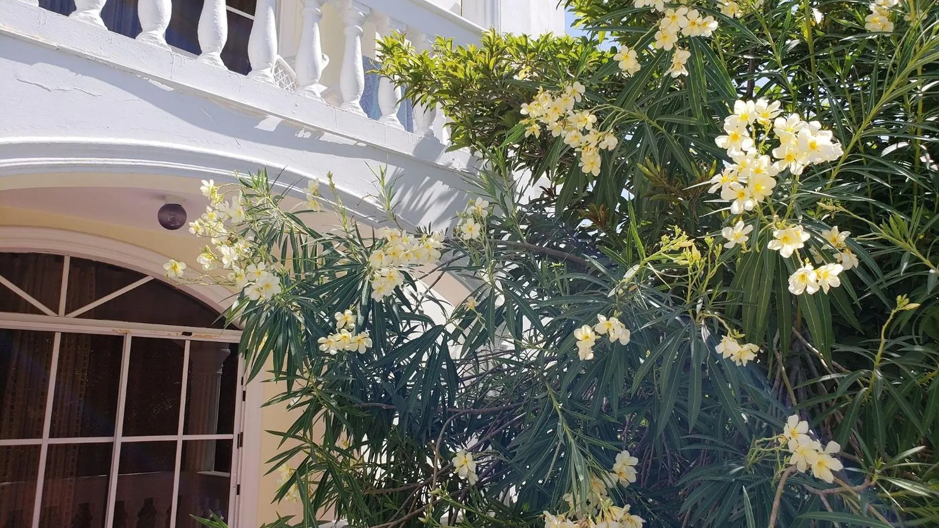 Costambar Seaside Apartment With Pool Puerto Plata Dominican Republic