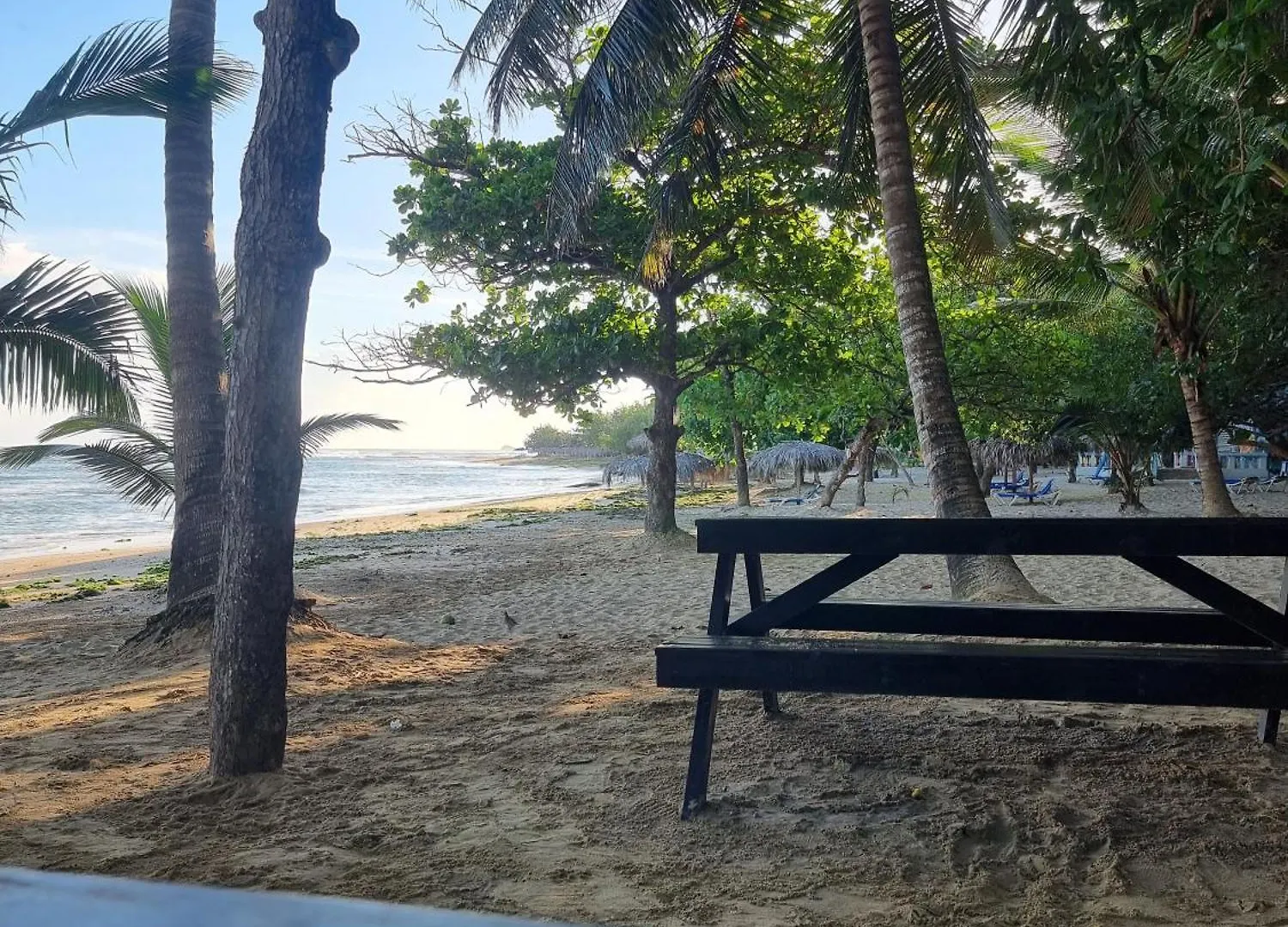 Costambar Seaside Apartment With Pool Puerto Plata