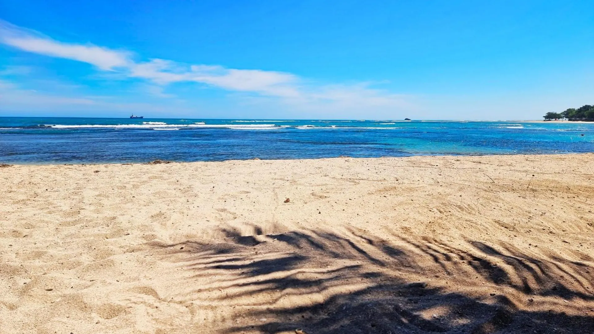 Costambar Seaside Apartment With Pool Puerto Plata Den Dominikanske Republik